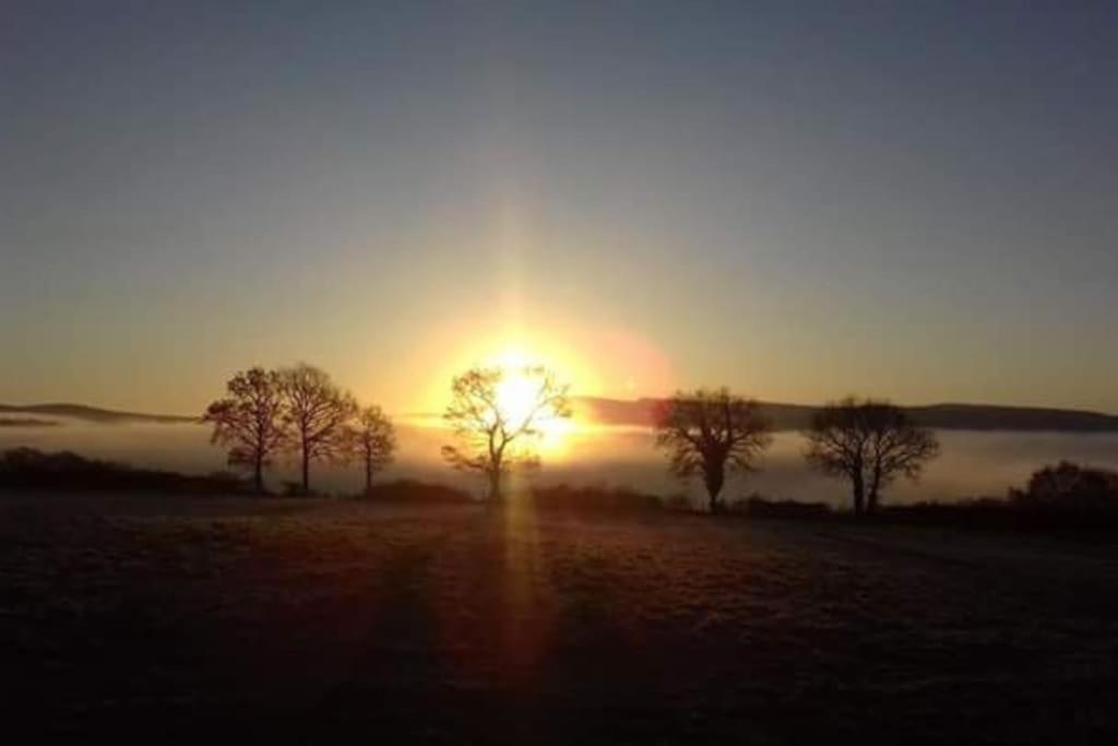 Perfect Cottage Retreat Near The Brecon Beacons Llanwrda Eksteriør bilde