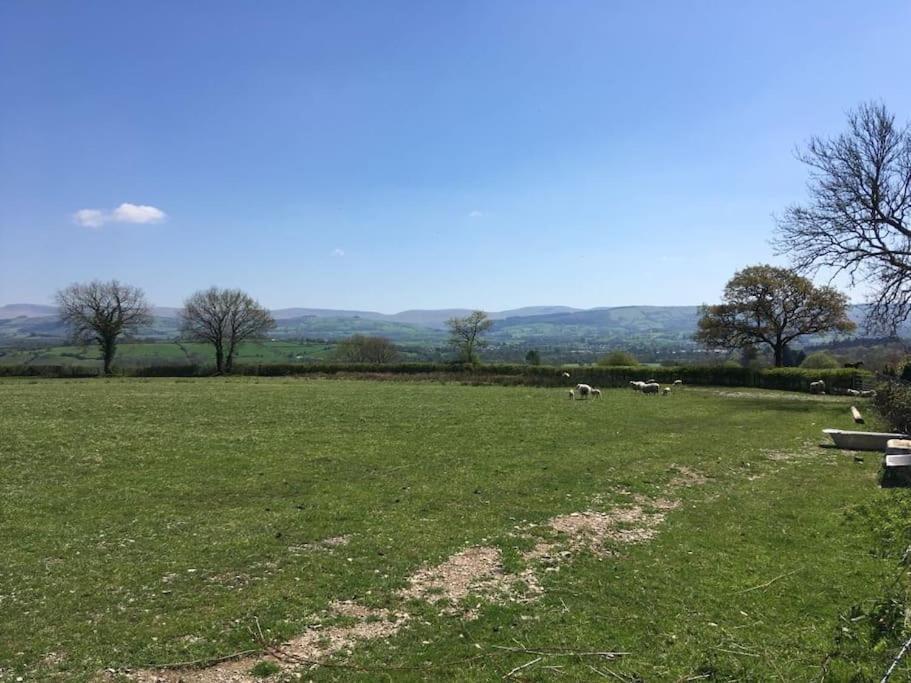 Perfect Cottage Retreat Near The Brecon Beacons Llanwrda Eksteriør bilde