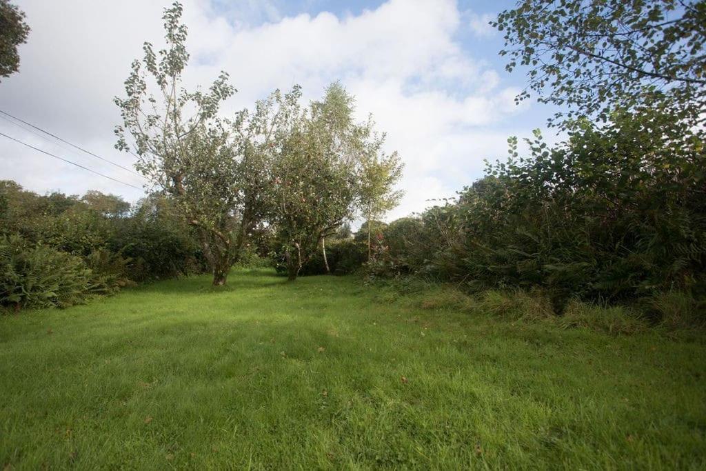 Perfect Cottage Retreat Near The Brecon Beacons Llanwrda Eksteriør bilde